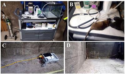 Making a case for the free exploratory paradigm: animal welfare-friendly assays that enhance heterozygosity and ecological validity